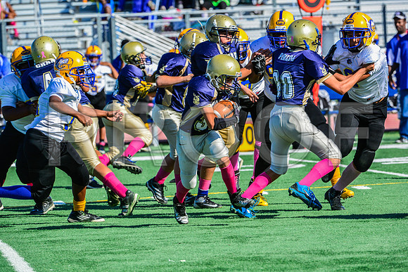 Jr Midgets Elk Grove Herd-32