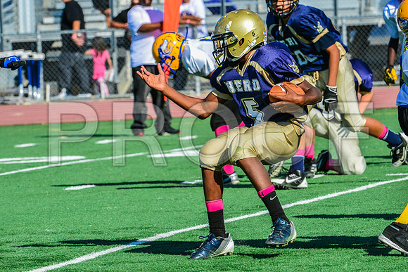 Jr Midgets Elk Grove Herd-77