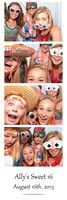 2013-8-16-0004