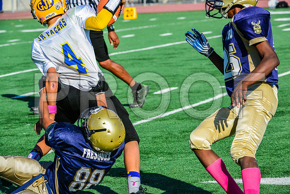 Jr Midgets Elk Grove Herd-96