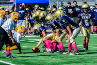 JR PEE WEE Elk Grove Herd-8