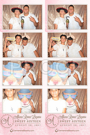 2017-8-26-0021-d