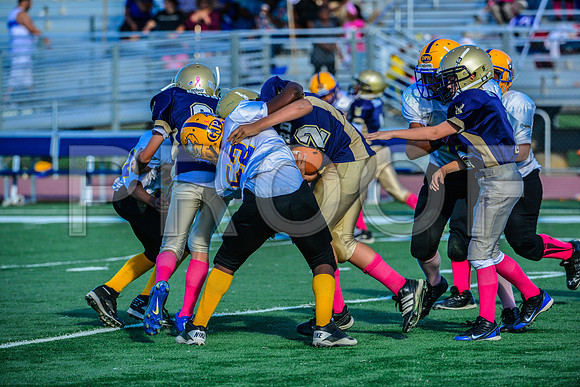 Jr Midgets Elk Grove Herd-136