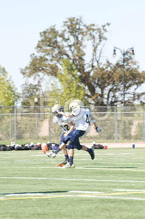 DSC_3432-Proof