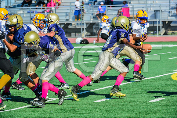 Jr Midgets Elk Grove Herd-67