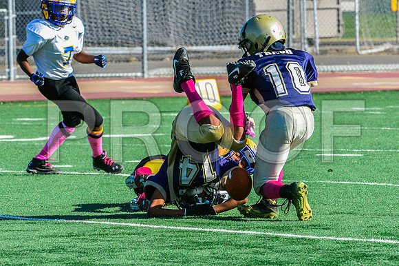 Jr Midgets Elk Grove Herd-46