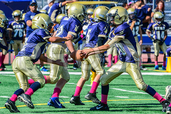 JR PEE WEE Elk Grove Herd-77
