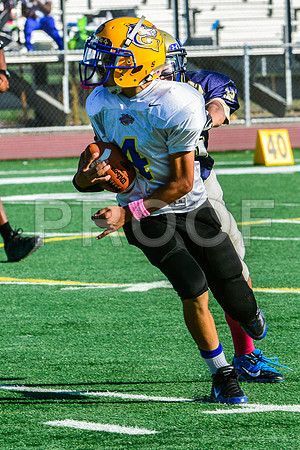 Jr Midgets Elk Grove Herd-107