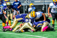 JR PEE WEE Elk Grove Herd-4