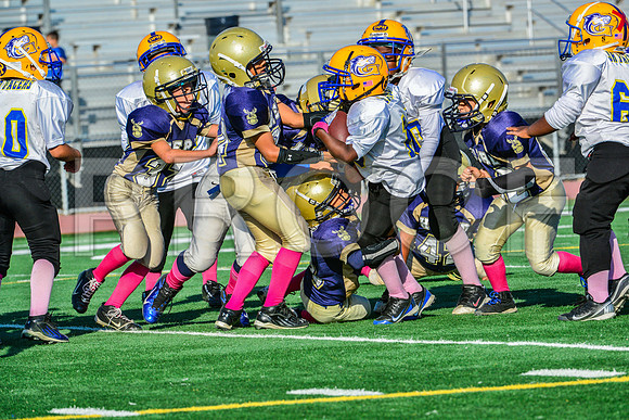 Mighty Mites Elk Grove Herd-18
