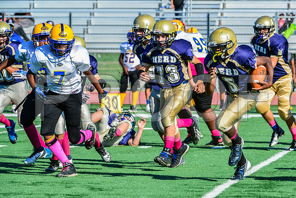Jr Midgets Elk Grove Herd-49