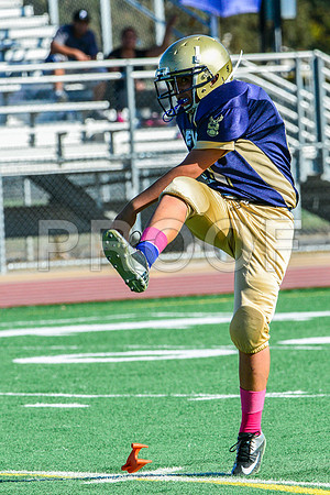 Jr Midgets Elk Grove Herd-90