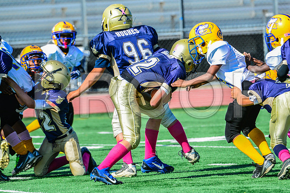 JR PEE WEE Elk Grove Herd-42