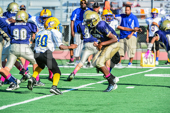 Jr Midgets Elk Grove Herd-74
