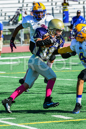 Jr Midgets Elk Grove Herd-34