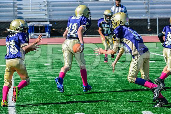 JR PEE WEE Elk Grove Herd-66