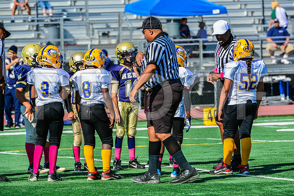 JR PEE WEE Elk Grove Herd-2