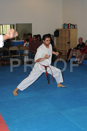 MSP_1641