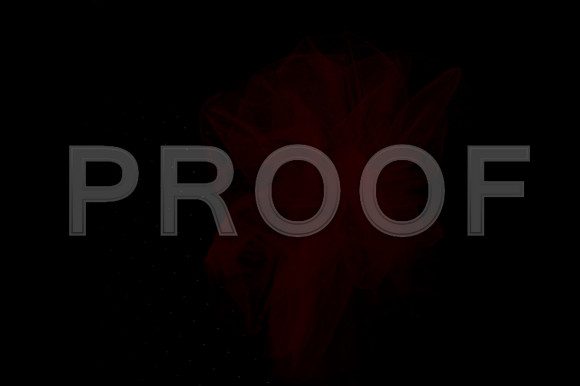DSC_0745-Proof