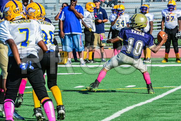 Jr Midgets Elk Grove Herd-71