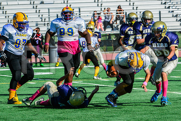 Jr Midgets Elk Grove Herd-92