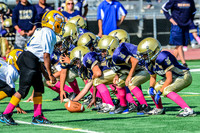 JR PEE WEE Elk Grove Herd-6