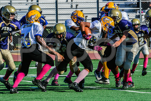 Jr Midgets Elk Grove Herd-42
