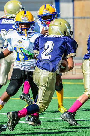 JR PEE WEE Elk Grove Herd-52