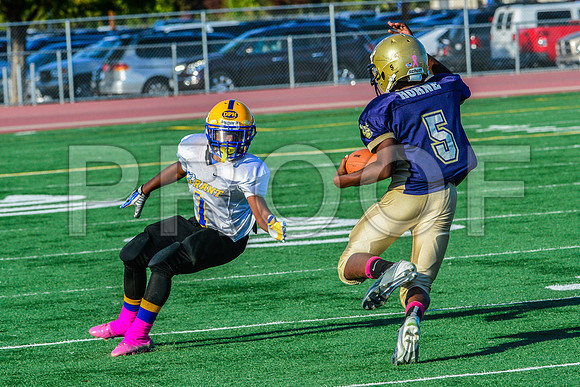 Jr Midgets Elk Grove Herd-174