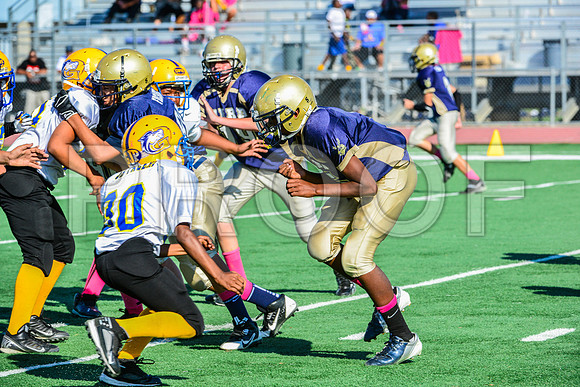 Jr Midgets Elk Grove Herd-68