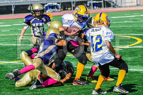 JR PEE WEE Elk Grove Herd-17