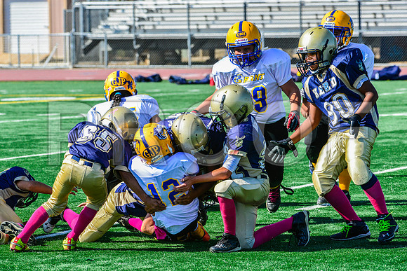 JR PEE WEE Elk Grove Herd-25