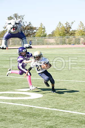 DSC_3461-Proof