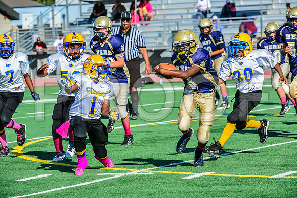 Jr Midgets Elk Grove Herd-64