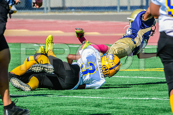 JR PEE WEE Elk Grove Herd-49