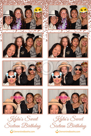 2017-4-4-0033-d
