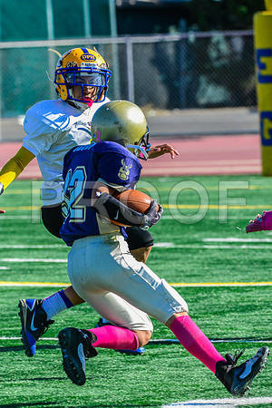 Jr Midgets Elk Grove Herd-38