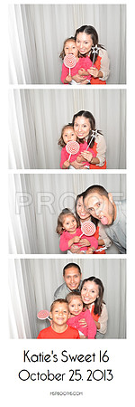 2013-10-25-0008