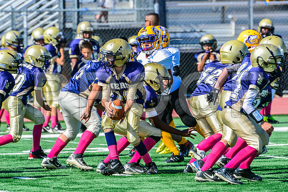 JR PEE WEE Elk Grove Herd-69