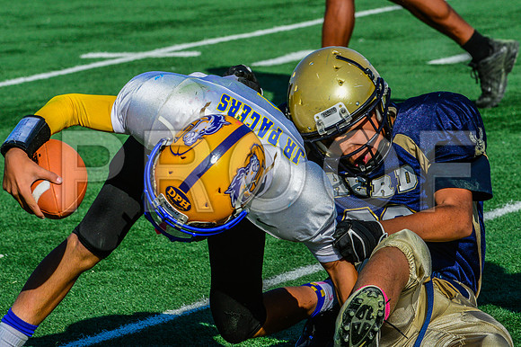 Jr Midgets Elk Grove Herd-97