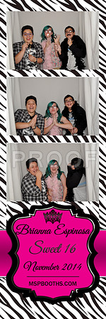 2014-11-8-0075