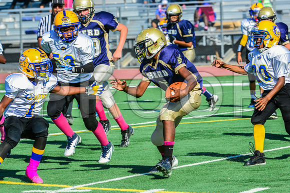 Jr Midgets Elk Grove Herd-63