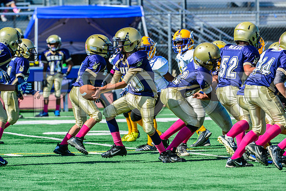 JR PEE WEE Elk Grove Herd-79