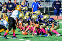 JR PEE WEE Elk Grove Herd-7