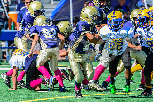 JR PEE WEE Elk Grove Herd-75
