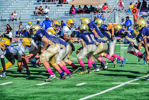 Jr Midgets Elk Grove Herd-58