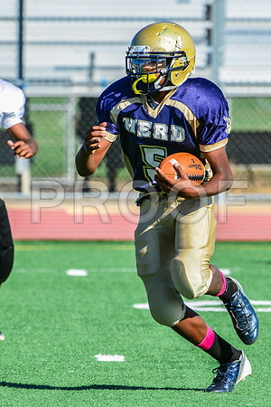 Jr Midgets Elk Grove Herd-48