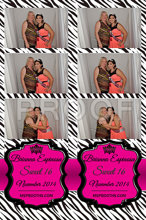 2014-11-8-0010-d