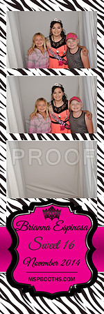2014-11-8-0005