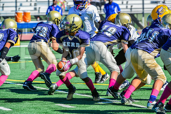 Jr Midgets Elk Grove Herd-31
